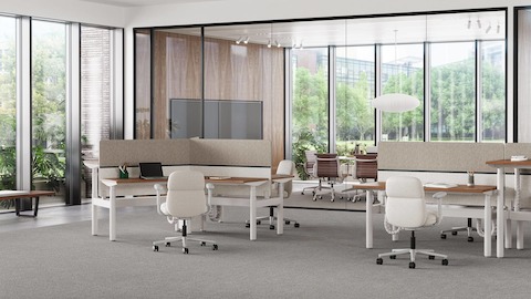 White Ratio height-adjustable workstations with grey and brown screens and white Asari Chairs with conference room in the background.