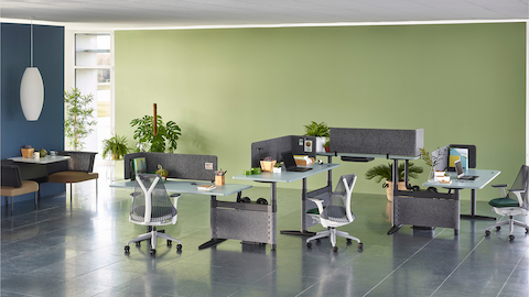 Sayl office chairs complement a zigzag configuration of four height-adjustable Atlas Office Landscape desks with blue tops.