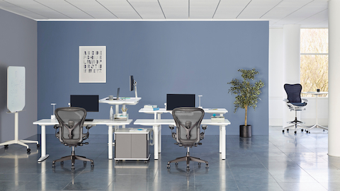 A collaboration area featuring white height-adjustable Atlas Office Landscape desks and black Aeron office chairs.