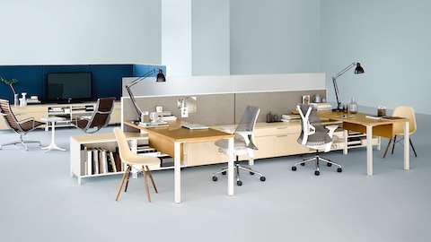 A Canvas Storage workstation in light wood with darker wood surfaces, grey screens, and white Sayl office chairs.