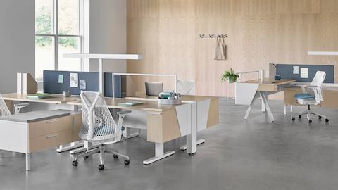 Canvas Vista workstations in light wood and white with blue Sayl office chairs.