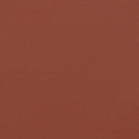 Canyon Maharam Pace Leather Swatch