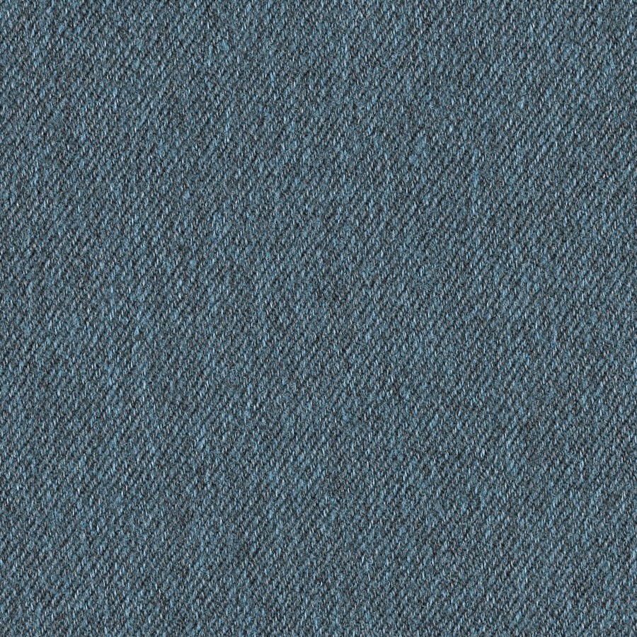 A close-up view of Whisper Blueberry 1WS15.