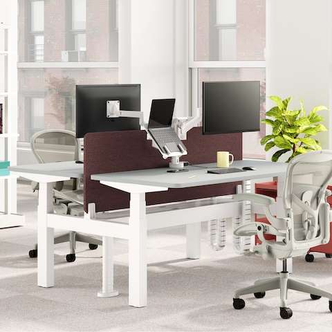 Nevi Link Sit-Stand two-desk configuration in white with a maroon-colored fabric screen, Lima Monitor Arm and Laptop Mount, two Aeron Chairs, and OE1 storage trolleys.