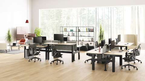 Open plan with Nevi Link Sit-Stand back-to-back desk configurations in black with light-colored wood work surfaces, gray screens, Ollin Monitor Arms, Mirra 2 Chairs, and lounge furniture in the background.