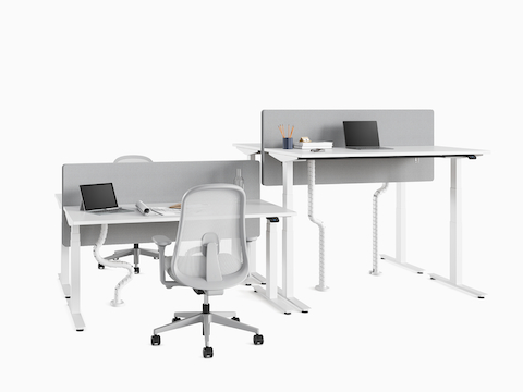 Four Nevi Sit-Stand Desks positioned back to back at seating and standing heights. A pair of Lino Chairs are alongside.