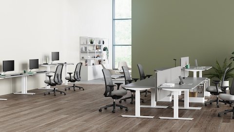 An office environment with Nevi Sit-Stand Desks positioned at varying heights with gray Lino Chairs providing seating.