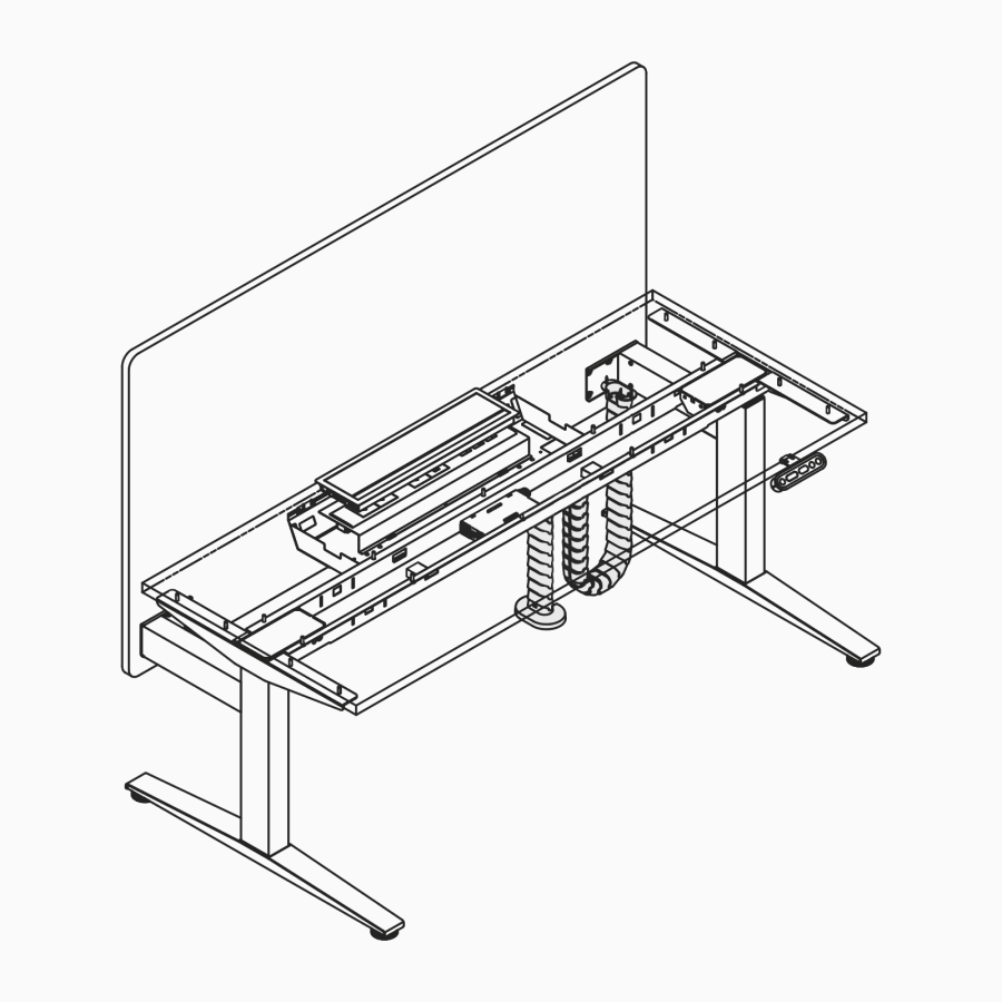 线描图：Ratio的脐带结构。