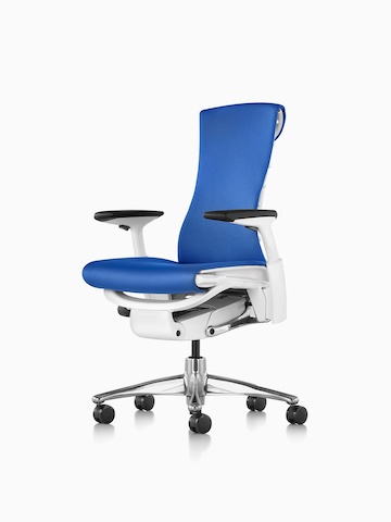 Blue Embody office chair.