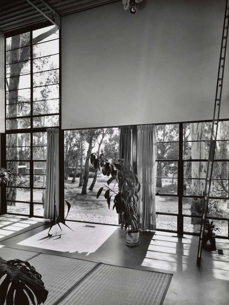 This black and white photo is a view of the living room without furniture, which has be removed so the Eames Foundation can do repairs. Plants and rugs are on the ground.
