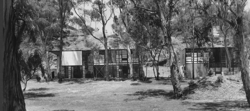 This black and white photo shows the front of the house and studio. Eucalyptus trees line the front of the house and meadow.