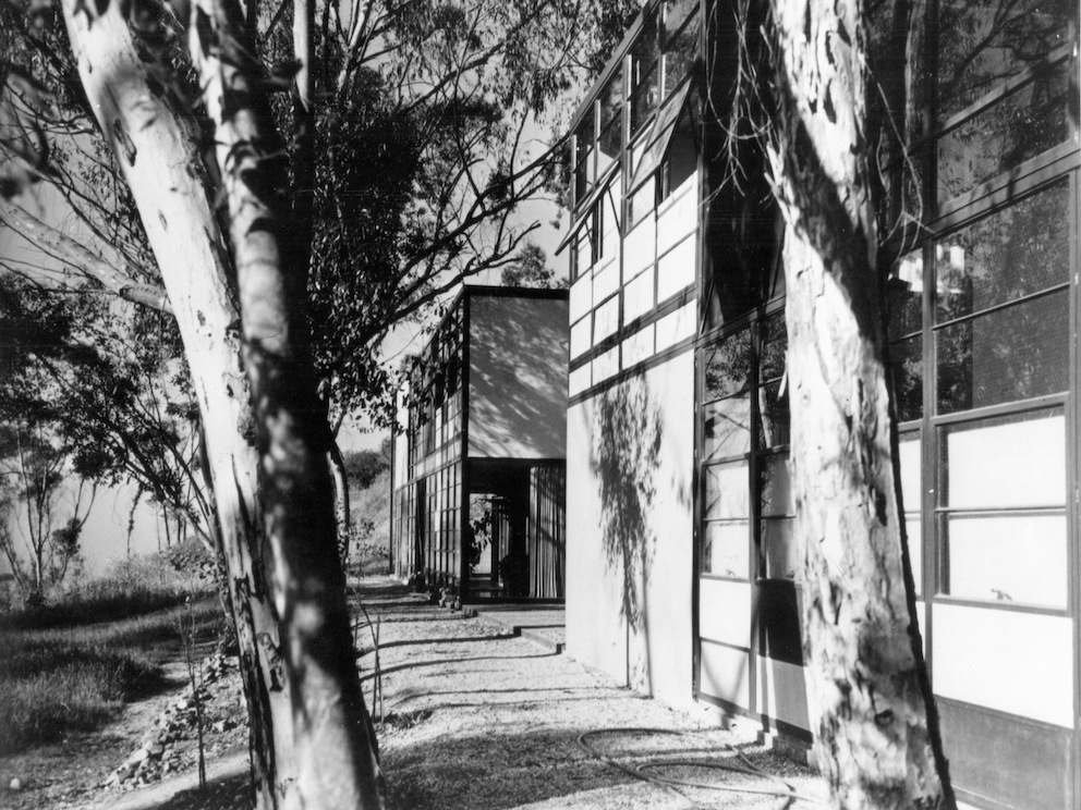 A black and white, archival shot of the Eames House and studio. Two Eucalyptus trees are in the foreground.